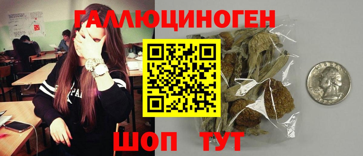 Псилоцибиновые грибы GOLDEN TEACHER Комсомольск-на-Амуре